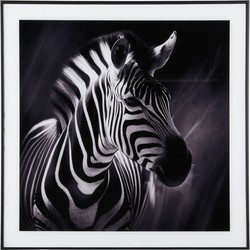 Wanddecoratie Zebra - Zwart - 2x50x50cm