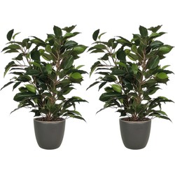 2x stuks groene ficus kunstplant 40 cm met plantenpot mat antraciet grijs D13.5 en H12.5 cm - Kunstplanten