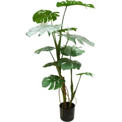 Kunstplant Monstera Deluxe 120 cm | NeverLeafs