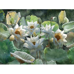 Lotusbloemen 70x50cm Tuinschilderij - Customize-it