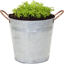 Mega Collections Emmer/plantenpot Jean - zink - zilver - D27 X H25 cm - IJzeren emmer / teil