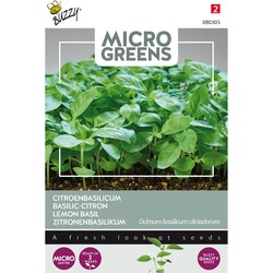5 stuks - Seeds Microgreens Zitronenbasilikum - Buzzy