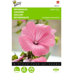 2 stuks - Lavatera trimestris Silvercup Zalm Rose