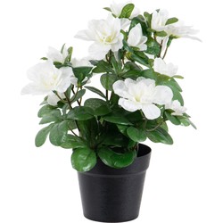 Louis Maes Kunstplant Azalea - in pot - wit - H25 cm - Kunstplanten