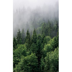 Sanders & Sanders fotobehang berglandschap met bomen groen - 1,5 x 2,7 m - 601215