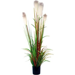 Riet gras in pot 150 cm wit-groen-bruin kunstplant