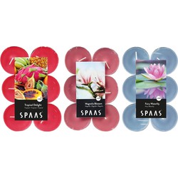 Candles by Spaas geurkaarsen - 36x stuks in 3 geuren - Maxi theelichtjes van 10 branduren - geurkaarsen