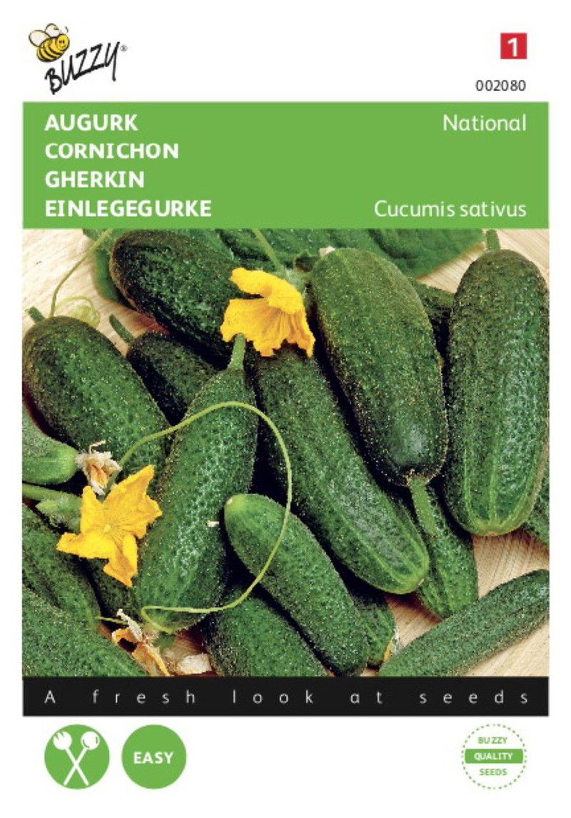 2 stuks - Augurken National Kleine Groene - 