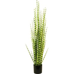 Zebragras im Topf 150 cm grün Kunstpflanze - Buitengewoon de Boet