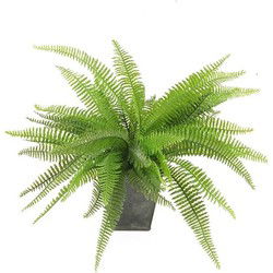 Kunstplant - varen - groen - 33 cm - kunst kamerplant - Kunstplanten