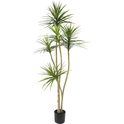 Hoyz Greenery - Kunstplant Dracaena Fragnans 180 cm