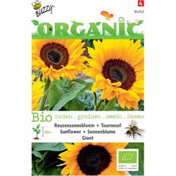 5 stuks - Organic Zonnebloem giganteus (Skal 14725) - Buzzy