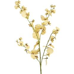 Greenmoods Kunsttak Orchidee - Nep plant - 1 Stuk - 80cm - Beige-