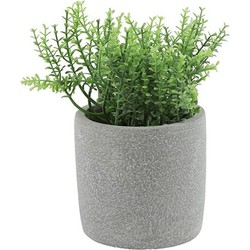 Countryfield kunst kruiden rozemarijn - in grijs potje - 19 cm - Kunstplanten
