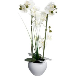 Atmosphera Orchidee bloemen kunstplant in witte bloempot - witte bloemen - H53 cm - Kunstplanten