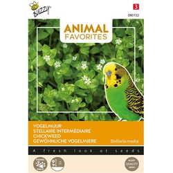 Animal favorites vogelgroenvoer - siervogels en kippen tuinzaden