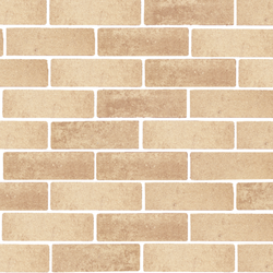 Volkerak waterpasserende eco bricks geimpregneerd 7x21x8 cm prijs per m2 - Gardenlux