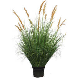 Greenmoods Kunst Grasplant Struisriet - Calamagrostis - Nep plant - 1 Stuk - 100cm