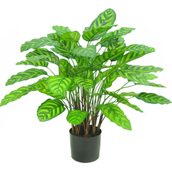 Hoyz Greenery - Kunstplant Calathea Makoyana Deluxe 75 cm