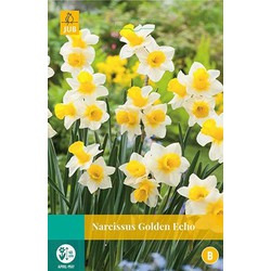 5 stuks - Narcissus Golden Echo 4 bollen