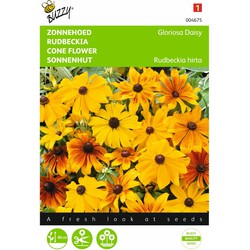 2 stuks - Rudbeckia hirta Gloriosa Daisy Gemengd