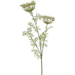 Anethumsteel l87b28h15 cm wit