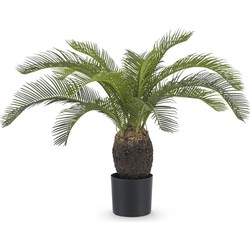 Greenmoods Baby Cycas Palm - Cycas revoluta - Nepplanten voor binnen - Kunstplant - 1 Stuk - 60cm