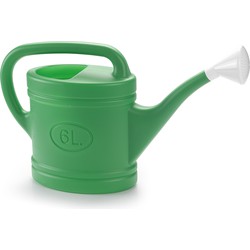 PlasticForte Gieter met broeskop - groen - kunststof - 6 liter - 53 cm - Gieters