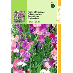 2 stuks - Lathyrus odoratus Royal Family gemengd