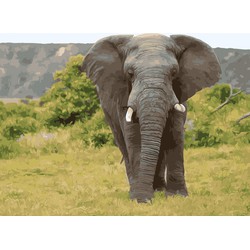 Twisk  Schilderen op nummer olifant PBND4005