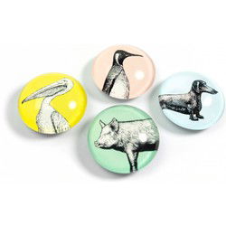 Trendform Magnet Eye - Dieren - set van 4 verschillende