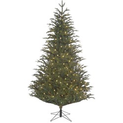 Frasier kunstkerstboom groen met warm LED h215 d145 cm Trees