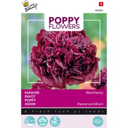 5 stuks - Poppies of the world - Papaver Black Paeony - Buzzy