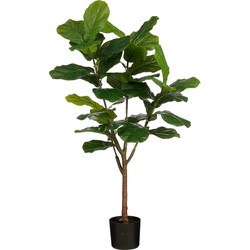 Mica Decorations Kunstplant Ficus - 50x50x150 cm - Polypropyleen - Groen