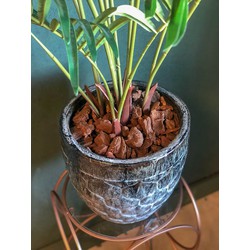 Pot in combinatie met kenzia palm - PTMD