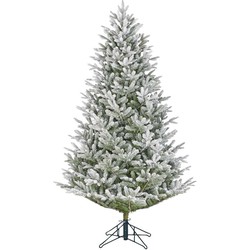 Black Box Trees Frasier Kunstkerstboom - 124x124x185 cm - PVC - Groen