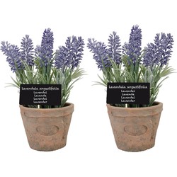 2x stuks kunstplanten lavendel in terracotta pot 23 cm - Kunstplanten