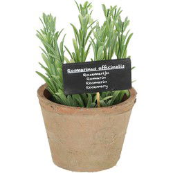 Esschert Design Kunstplant/kruiden rosemarijn - in pot - 18 cm - Kunstplanten