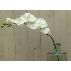 Kunstvlinderorchidee op steker wit - Warentuin Mix