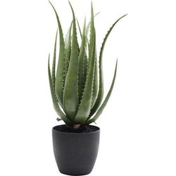 Kare Deco Plant Aloe 69cm