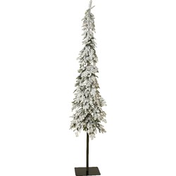 Alpine fir prelt h240 cm groen/wt/wwt kerst