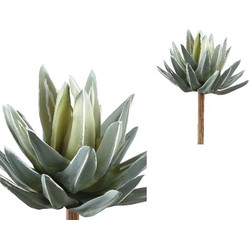 PTMD Succulent Plant Aloe Vera Prikker - 18 x 12 x 22 cm - Groen/Grijs