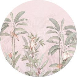 Muurcirkel Jungle Papegaai roze