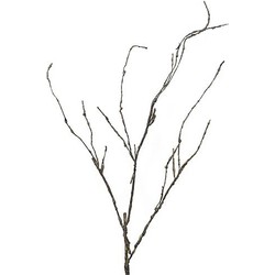 Wood Twig Cordata 95 cm kunsttak - Nova Nature