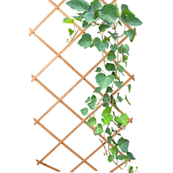 HIXA Klimrek Planten - Uitschuifbaar - Trellis - Hout - Tuinlatwerk - 180x90cm
