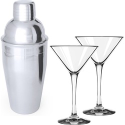 4x Cocktailglazen / martiniglazen 250 ml + cocktailshaker semi-matte 550 ml RVS - Cocktailglazen