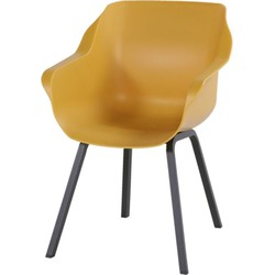 Element Armchair