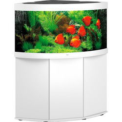Juwel aquarium Trigon 350 LED met filter wit
