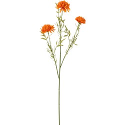 Bloem | Kunststof | Oranje | 18x6x (h)71 Cm