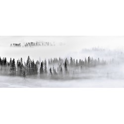 Sanders & Sanders fotobehang berglandschap met bomen zwart, wit en grijs - 3,6 x 2,7 m - 601013